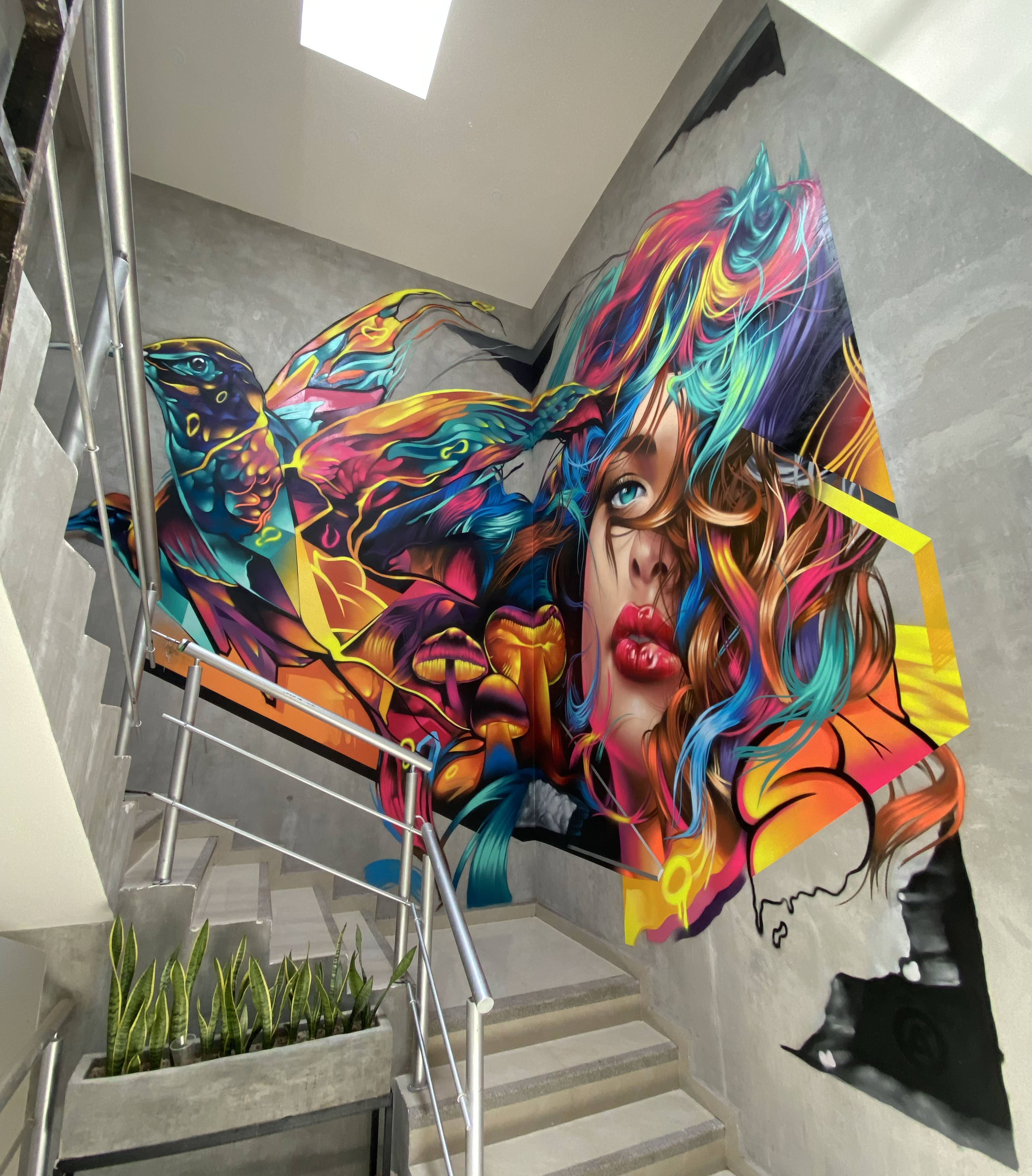 Musa Suspiro Mujer Belleza Colorido